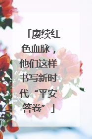 赓续红色血脉，他们这样书写新时代“平安答卷”
